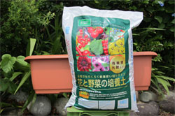 プランターセット