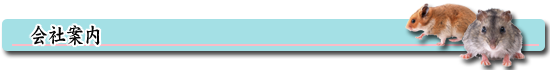 会社案内